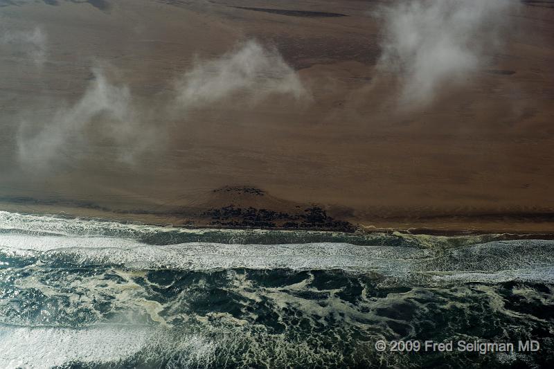 20090603_091132 D3 X1.jpg - The combination of dense fog  and rocks offshore set the stage for the high frequency of shipwrecks. More than a 1000 vessels litter the coast. Note the high waves, even on a day when the conditions are pretty good